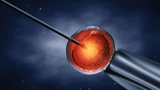 shutterstock_129073097